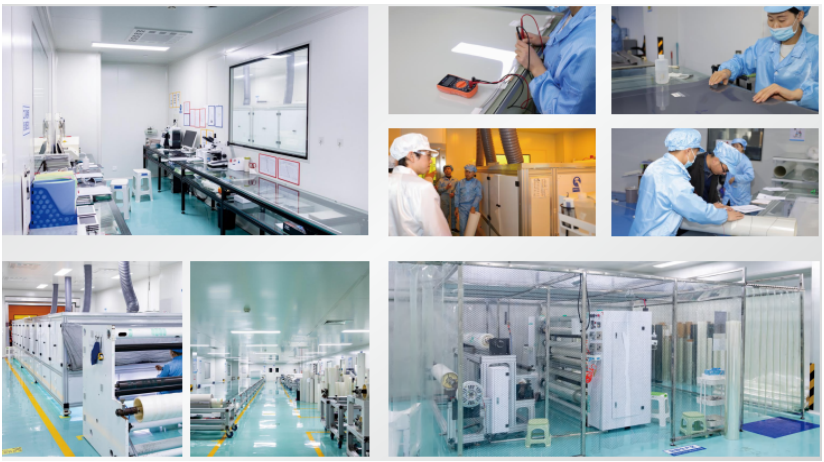 PDLC PNLC Workshop 4