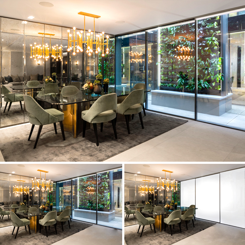 Switchable Glass